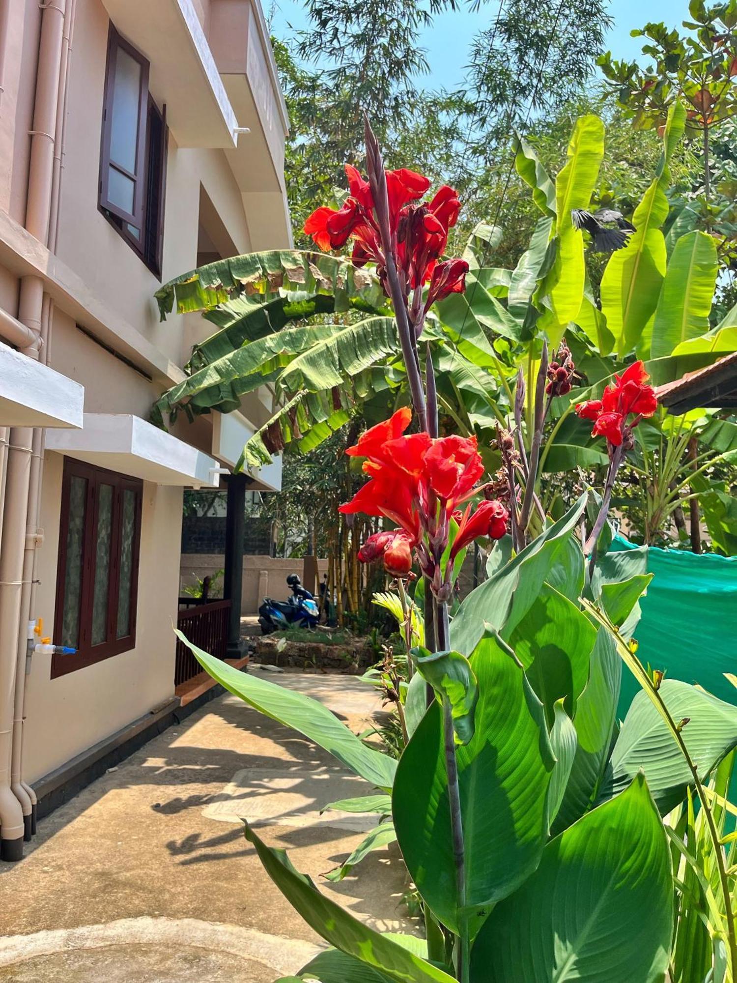 Bava Beach Resort & Retreat Center Varkala Bagian luar foto